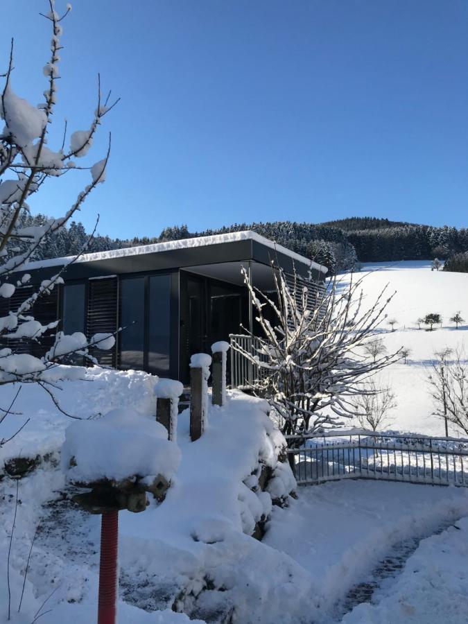 S-Suite Das Design-Ferienhaus Im Schwarzwald Biberach  Екстериор снимка