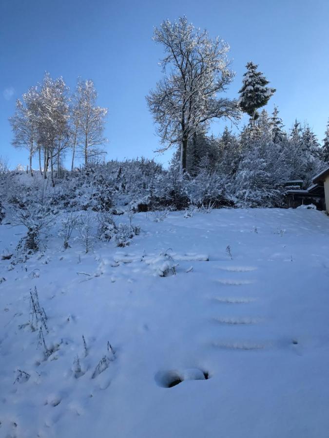 S-Suite Das Design-Ferienhaus Im Schwarzwald Biberach  Екстериор снимка