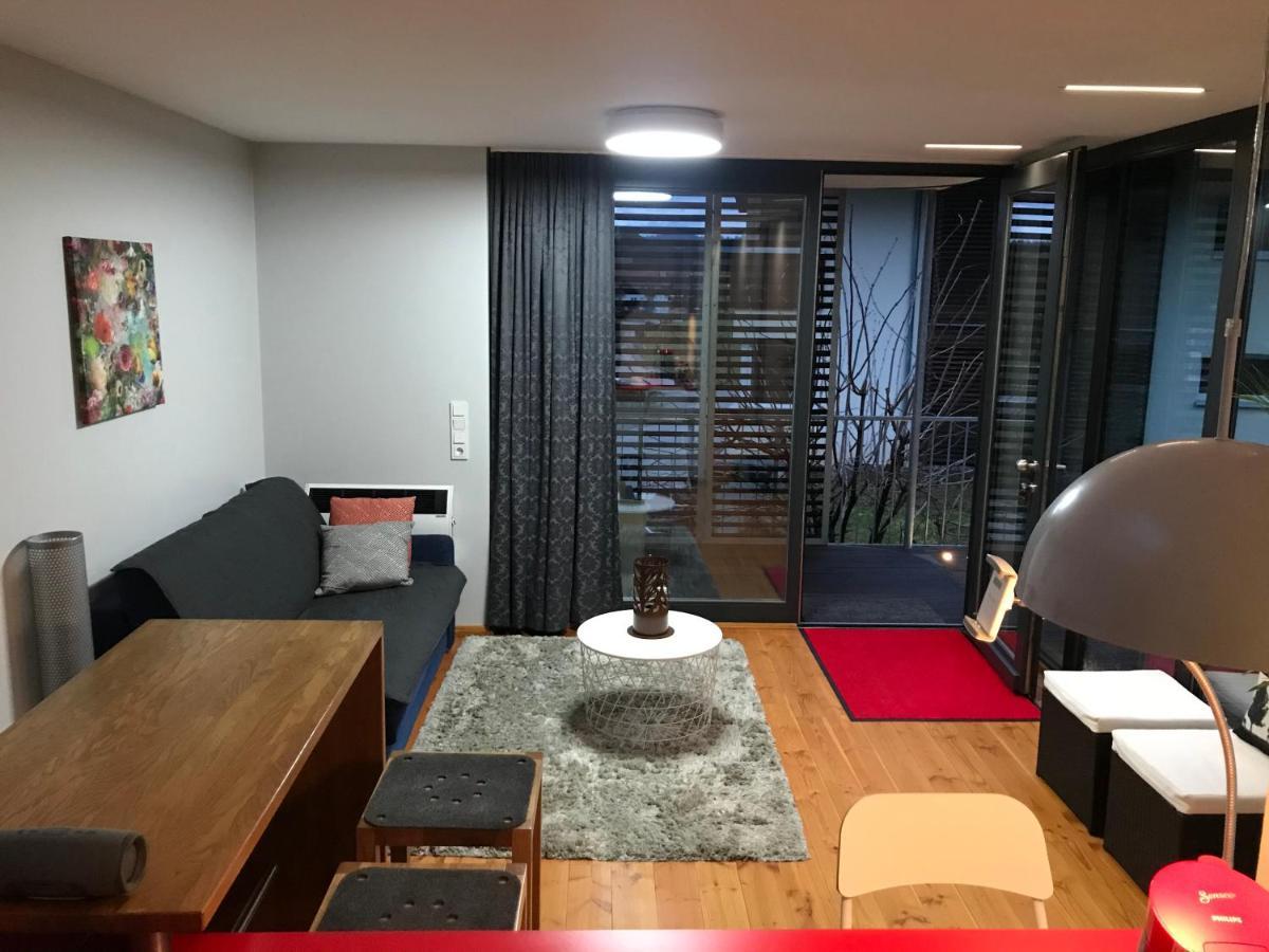 S-Suite Das Design-Ferienhaus Im Schwarzwald Biberach  Екстериор снимка