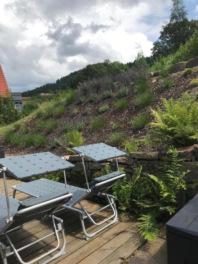 S-Suite Das Design-Ferienhaus Im Schwarzwald Biberach  Екстериор снимка